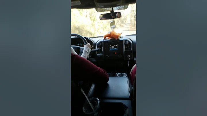 I was driving so fun my dad help a little  but fun
