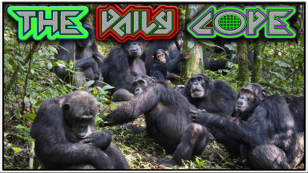 'Tribe Up' Doesn't Mean 'Join A Discord'