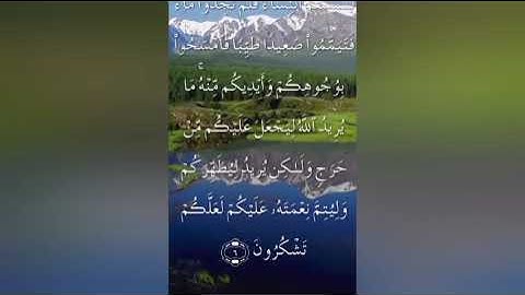 سورة المائدة صفحة ١٠٨ بصوت عذب لسعد الغامدي