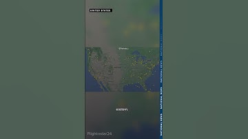 Global tech outage disrupts flights