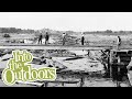 Impact of Logging and Hydroelectric Dams on Michigan's Ecosystem