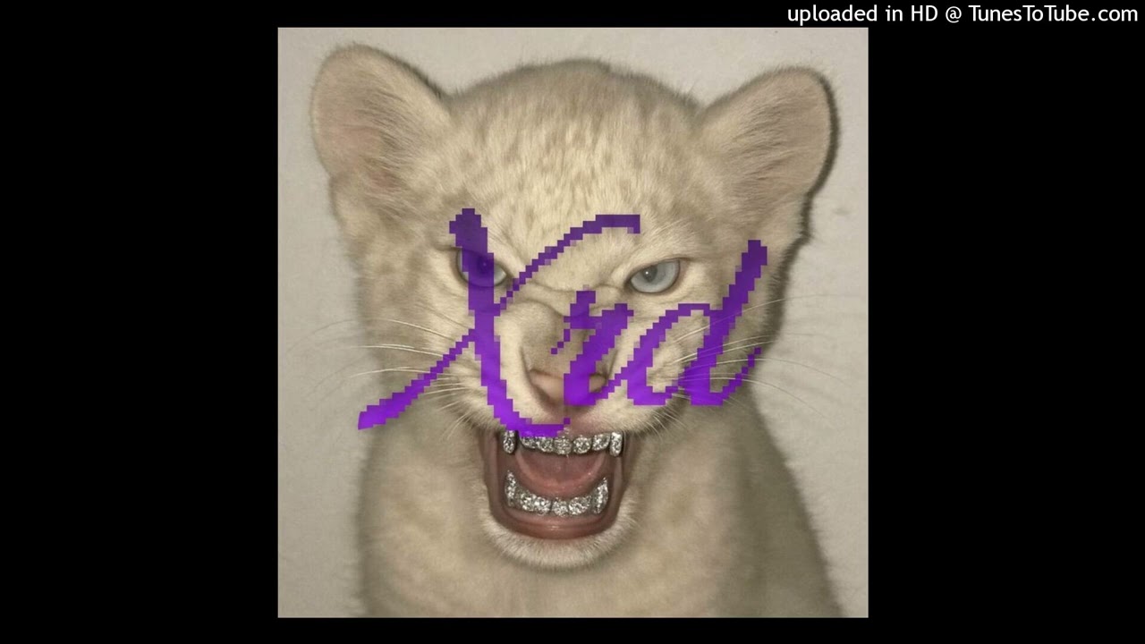 slayr + lucy bedroque + rexv2 type beat - "man of the year"