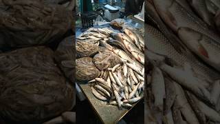 Bangladesh Wholesale Fish Market