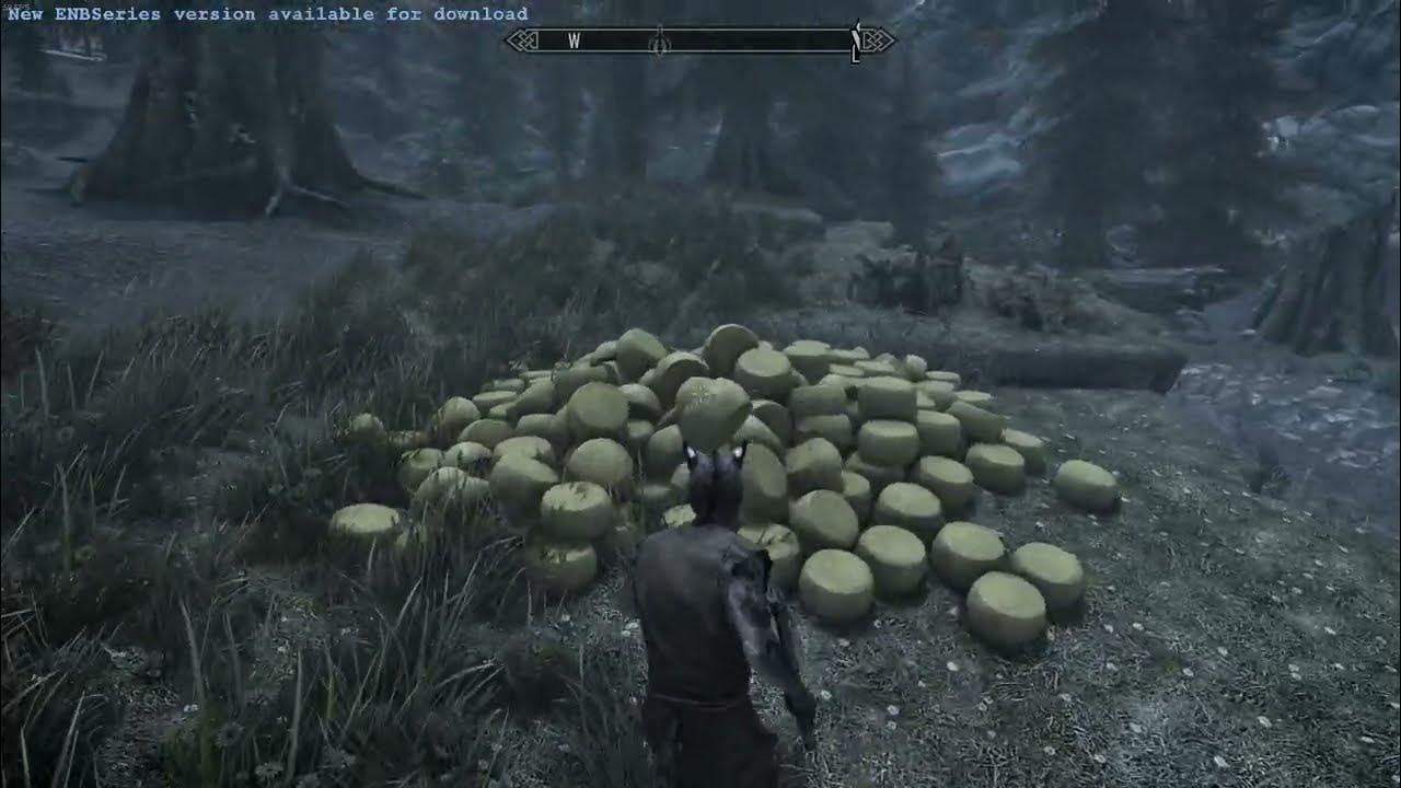 Spawning Cheese in Skyrim Everyday Until The Elder Scrolls 6 Releases