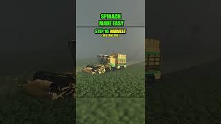 How To Farm Spinach #fs25