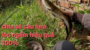 Mùa này cá to quá.các cần thủ khẩn trương lên nào.