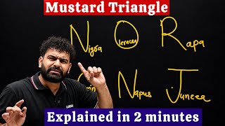 Mustard Triangle explained in 2 minutes | 4 Marks 🔥