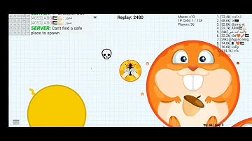 Blob.io Unofficial #1