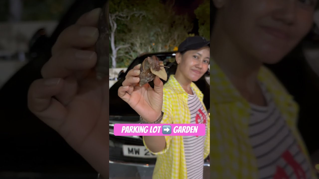 Snail rescue 🐌 🛻 🪴 