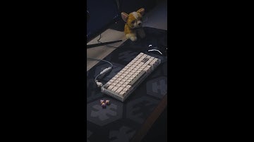 OMBREWOK 65% with Banana Splits Typing Test