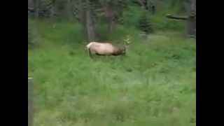 Unicorn Sighting!!