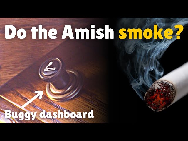 amish plain chewing tobacco Do Amish smoke? Do they raise tobacco?