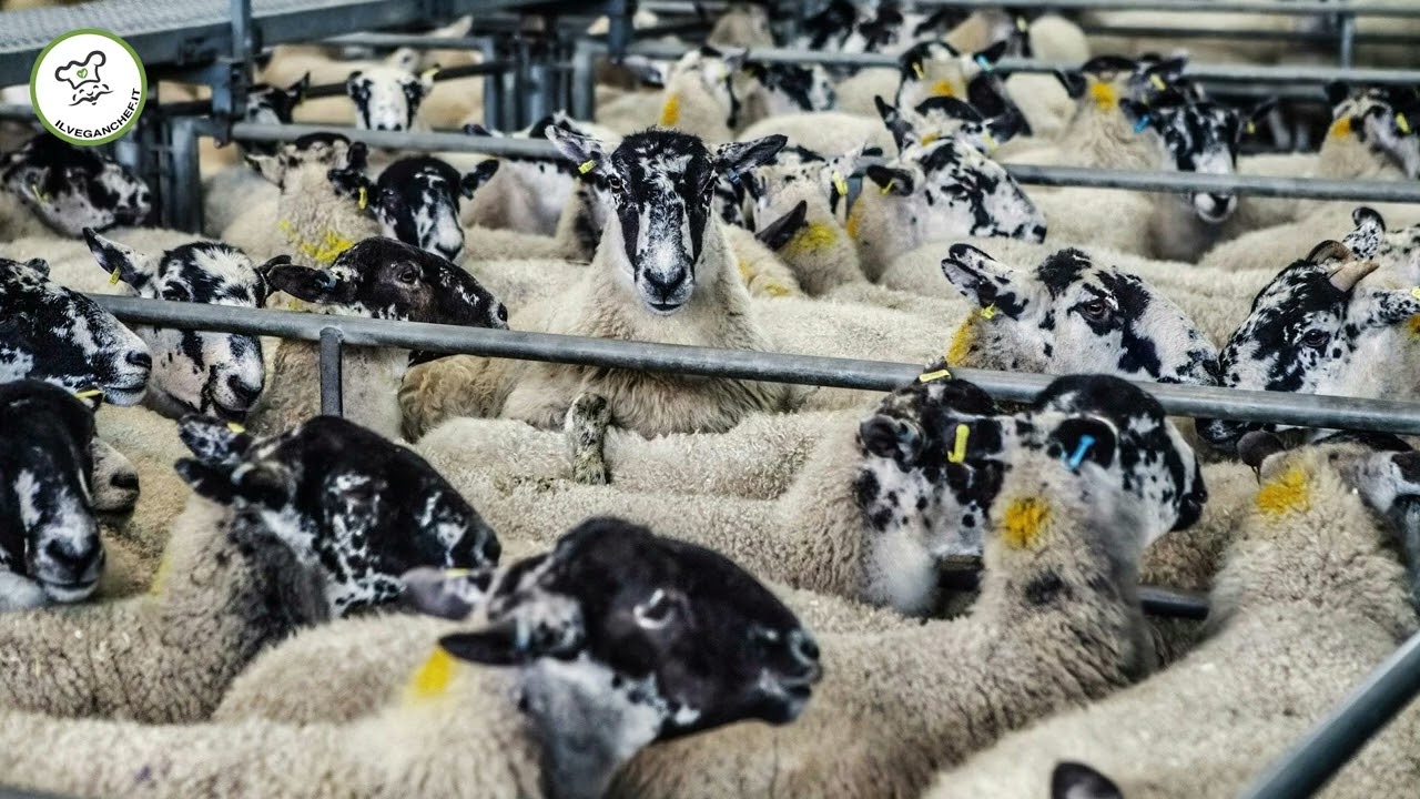 IL RISPETTO INIZIA QUI - Quando smetti di semplificare