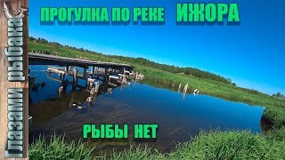 Река Ижора