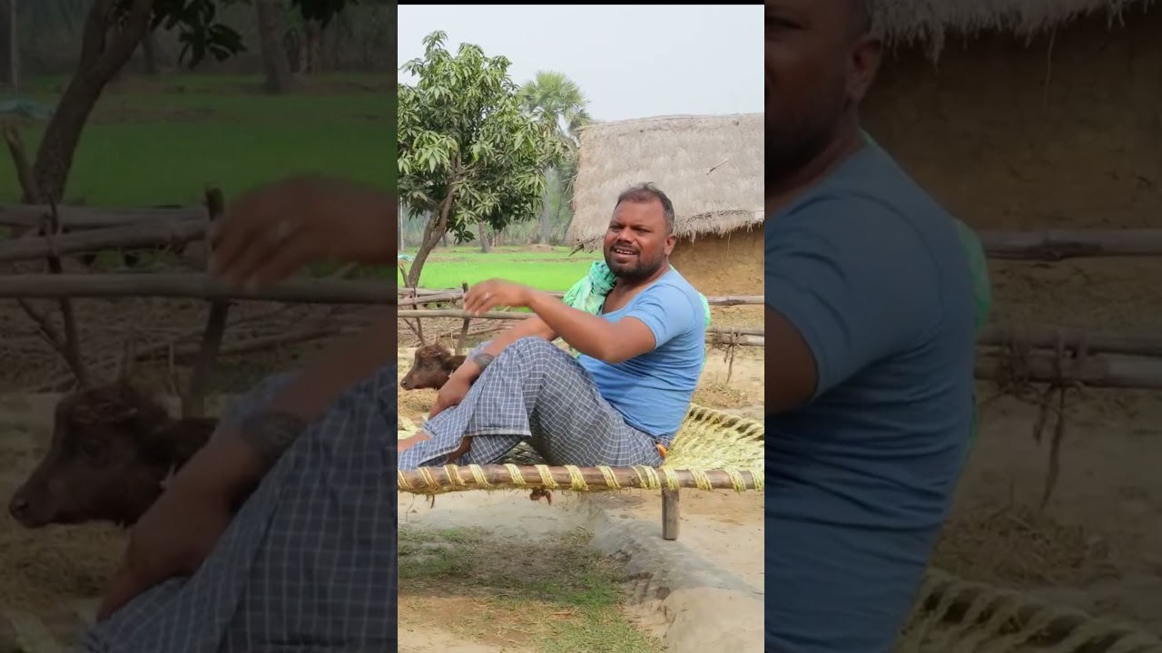 भैंस मारा औरत के बात में आ गया | Binesher Chacha ke comedy | Bhaismara ke comedy | Arun ke comedy