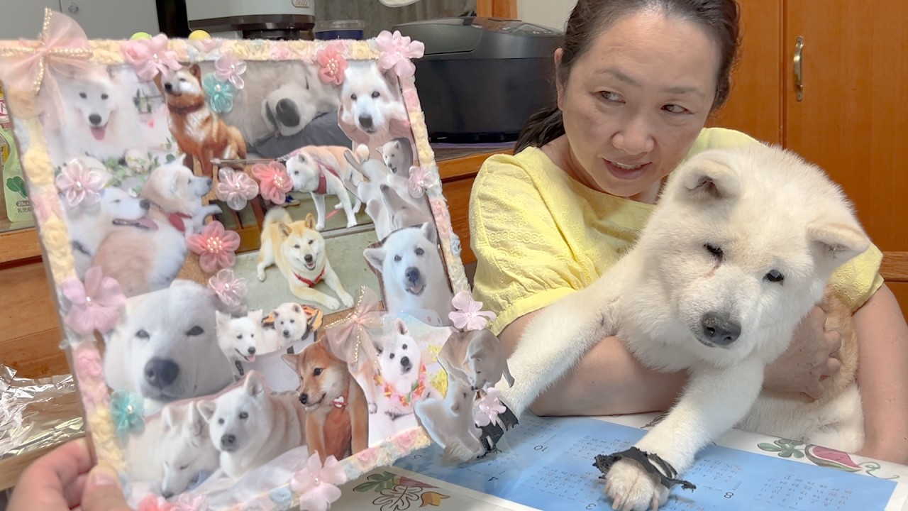 介護生活中、元気だった頃の愛犬を忘れないように。