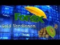 Geld verdienen mit Forex Handel