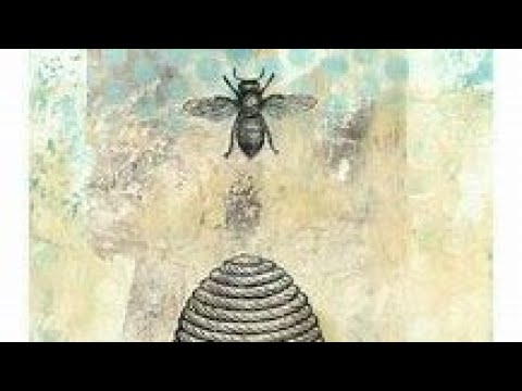 Apiary Inspections 8 Sept 24 - YouTube