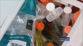 400 used needles found during homeless camp cleanup