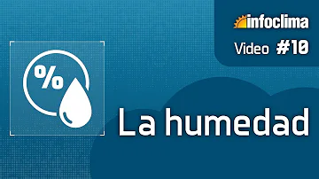 ¿Cuál es la función de la humedad en el ecosistema?