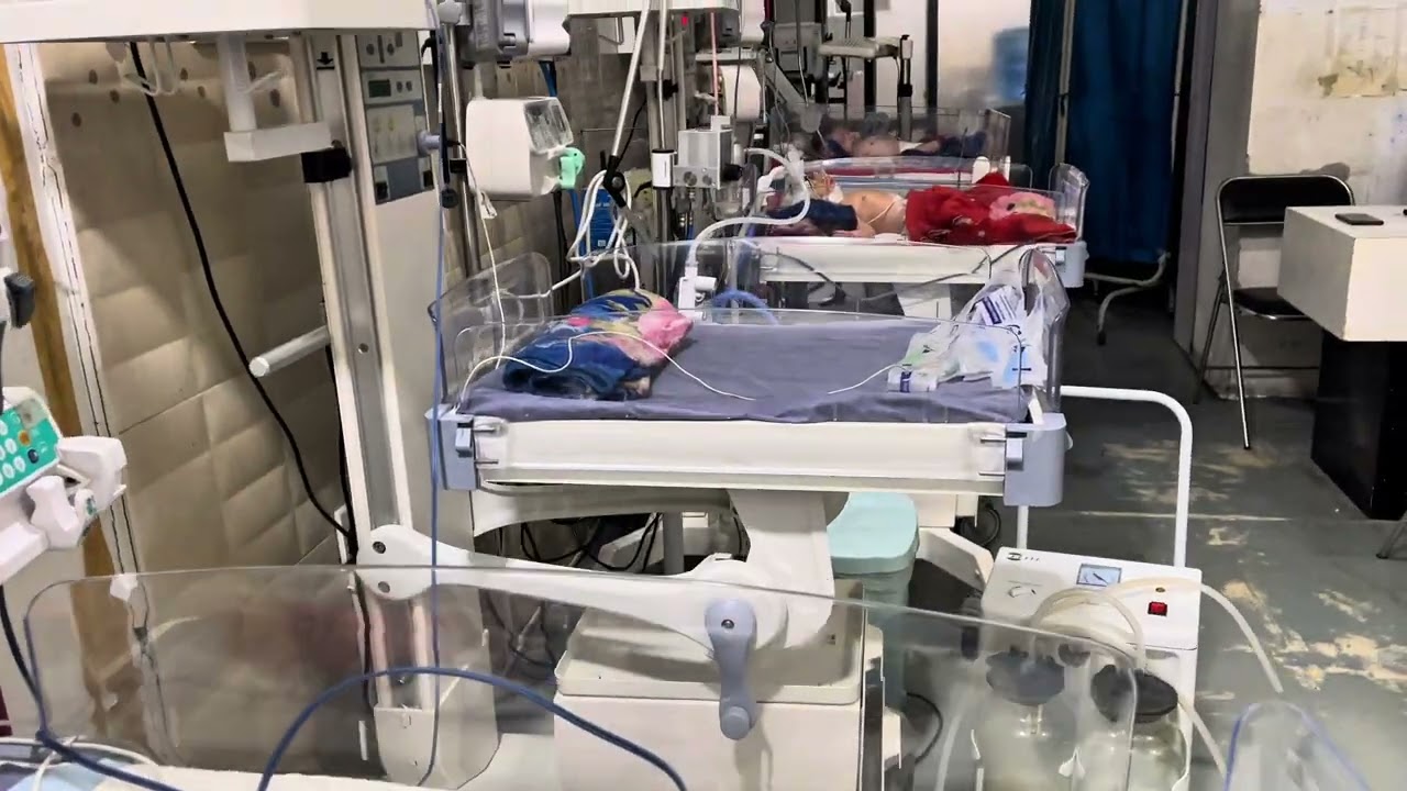 How Adorable Little Soul😭😍 || @CuteNewbornBabies @NeonatalCare24 @Babycare07 