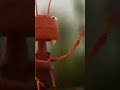 Short video