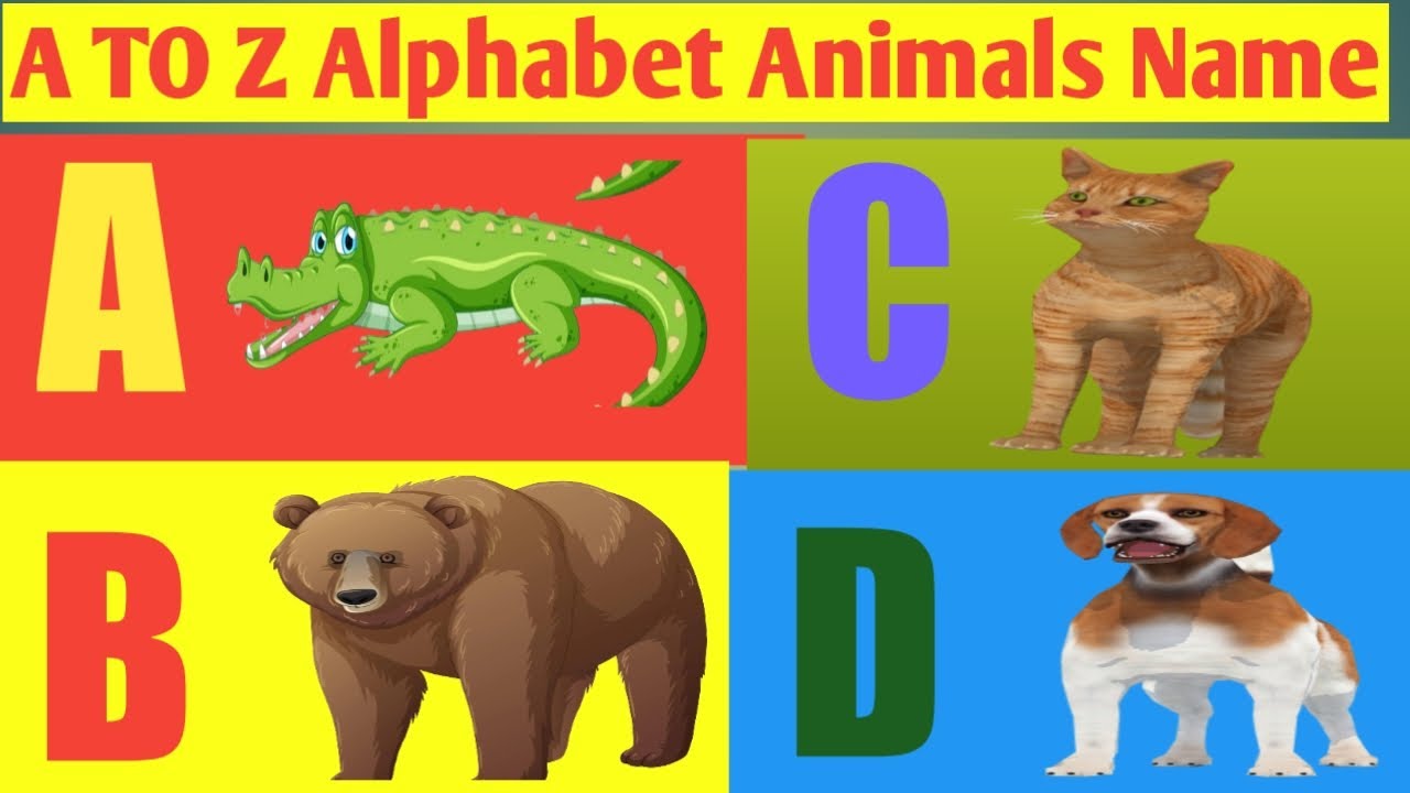 A TO Z Alphabet Animals Name !! A for Alligator, B for Bear, C for cat, D for Dog, E for