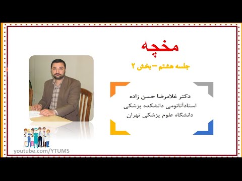 آموزش جامع نوروآناتومی جلسه هشتم 2 مخچه  پروفسور غلامرضا حسن زاده