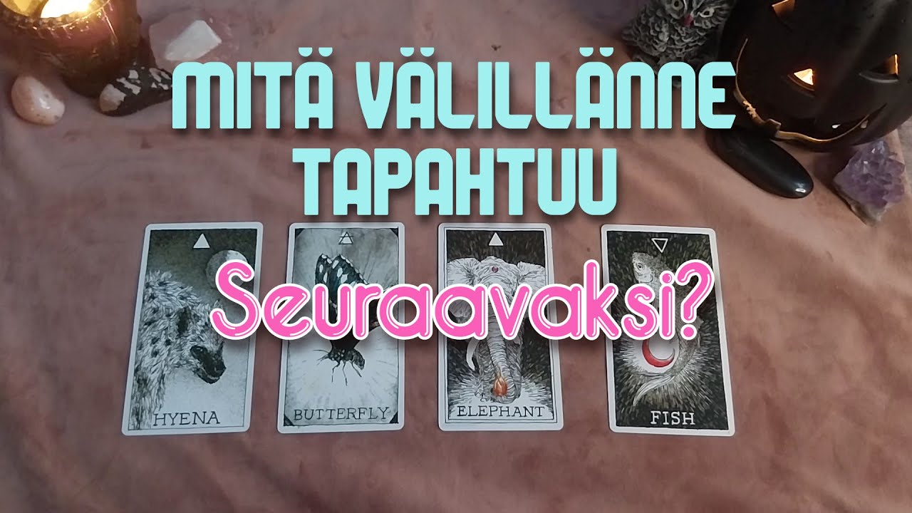 Mitä Välillänne Tapahtuu Seuraavaksi?🤩🌺Valitse Kortti🌺TAROT🔮Ajaton Tulkinta✨