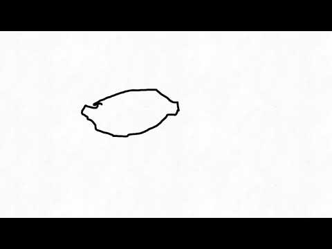 Anécdotas Magistrales parte 4 Anécdotas Magistrales parte 4