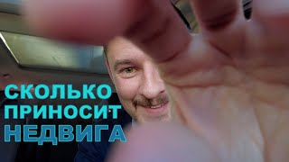 Заработать в Болгарии