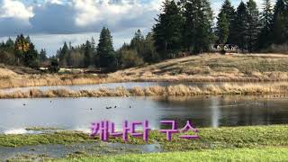 캐나다 가을 !