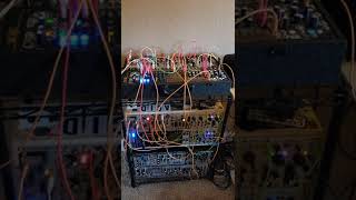 鍵盤楽器 Make Noise Phonogene Make Noise Phonogene | Reverb Romania