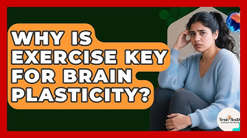 Why Is Exercise Key For Brain Plasticity? - Brain Health Support Network