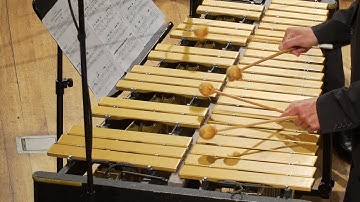 From Vienna With Love by Tristan Schulze, Soloist: Flip Philipp Vibraphon