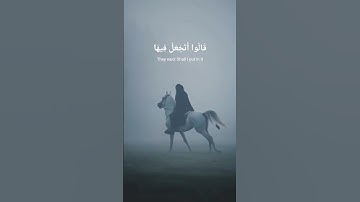 #سورة_البقرة #سعد_الغامدي #تلاوة_خاشعة #قرآن