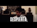 Despierta el caicee