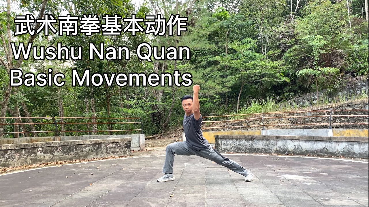 Wushu Nan Quan Basic Movements 武术南拳基本动作 - YouTube