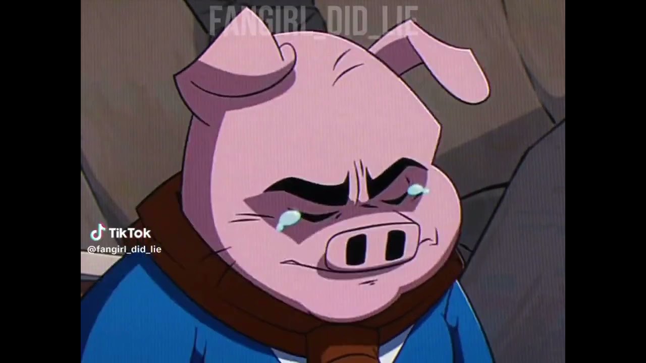 LMK tiktoks that made mei stop being reckless . 300 subscriber special