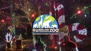 Wild Winter Lights TV - Buy Online and Save by Cleveland Metroparks Zoo 81 views 6 months ago 31 seconds