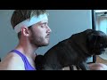 Download DOGA - DOG YOGA MP3 220KBPS