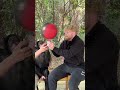 Chimpanzee spins basketball 🤯