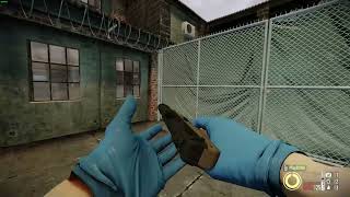 Funni 5/7 AP reload animations