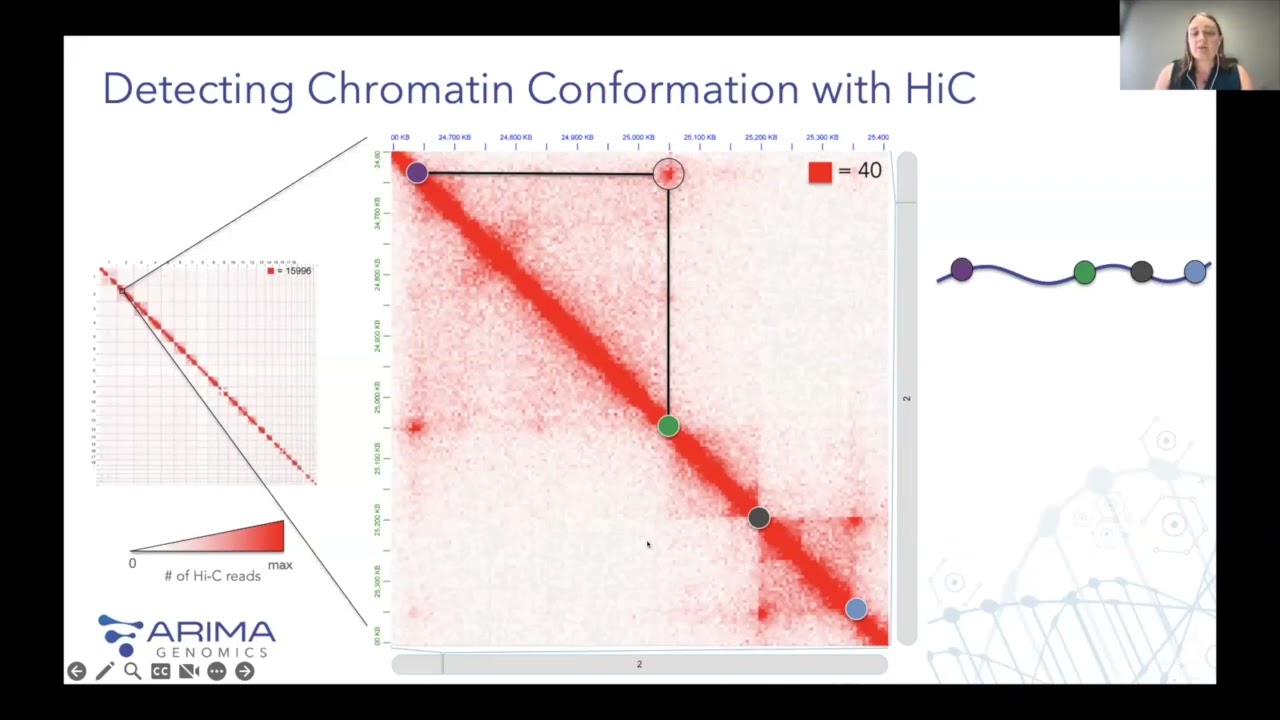 Unveiling the Power of 3D Genomics: Decoding Extreme Structural Heterogeneity in Glioblastoma (E...