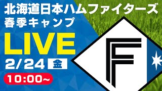 【特別LIVE】2/24 朝10:00～ ファイターズキャンプLIVE 2023 in OKINAWA～北海道日本ハムファイターズ～