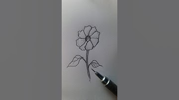 Simple Level 1 Flower Anyone Can Draw ✏️ #foryou #art #shorts #howtodraw #easydrawing #tutorial