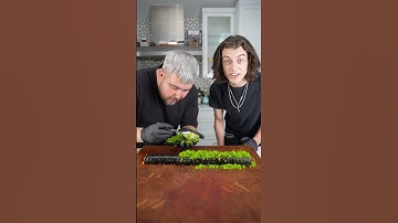 De pittigste sushi ter wereld ⁠@LukeDidThat