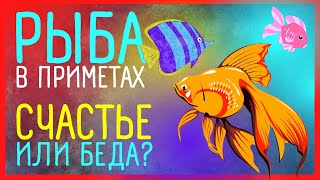 РЫБА ВО СНЕ | ПРИМЕТЫ | Баба Нина 