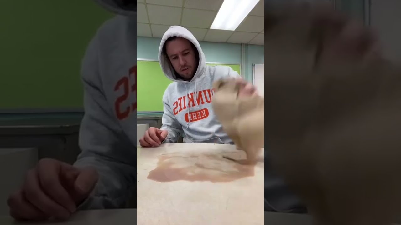 Public School Paper Towels shorts YouTube