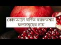 Fruit Name in Al Quran পবিত্র কোরআনে উল্লেখিত ফল সমুহের নাম